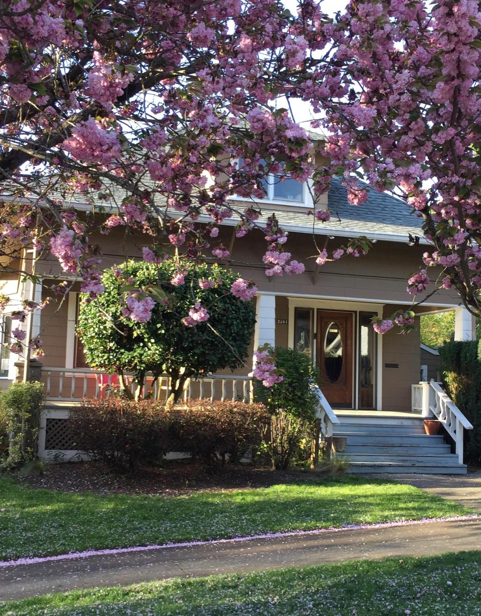 Southeast Portland Comfy & Eclectic Craftsman Home Eksteriør billede