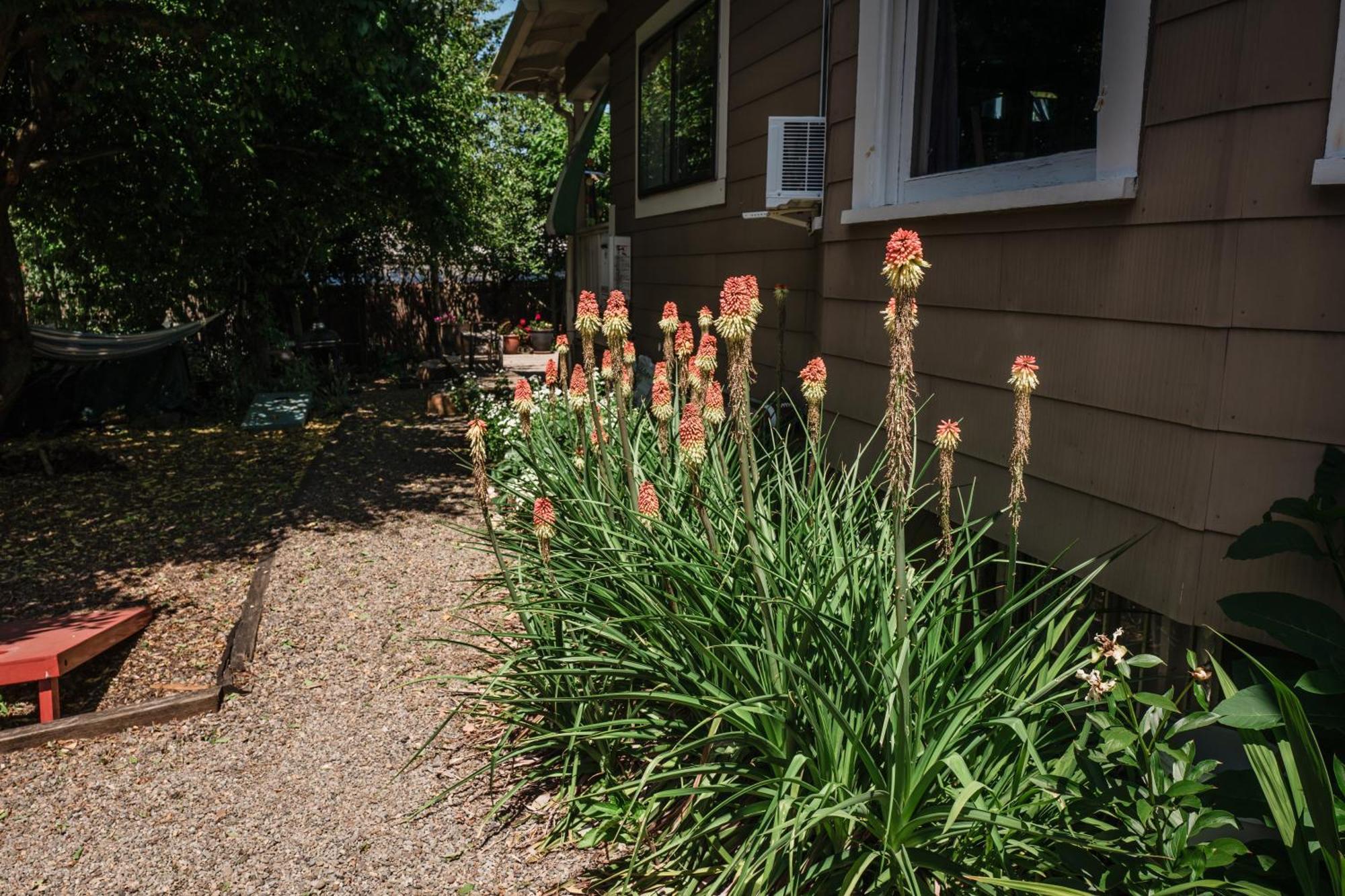 Southeast Portland Comfy & Eclectic Craftsman Home Eksteriør billede
